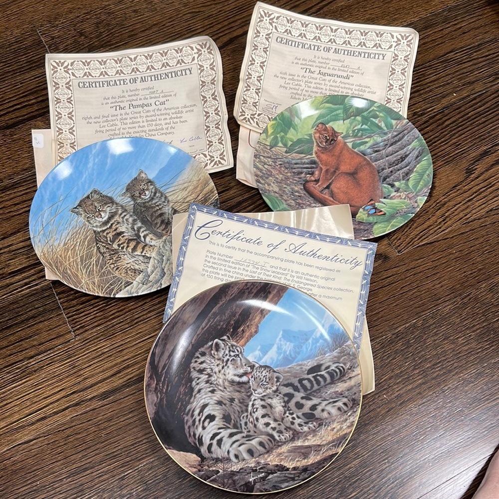 BEAUTIFUL BIG CATS plate collection. NO chips or cracks